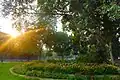 A garden in IIT Delhi