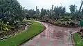 Garden view of cactus garden from front gate