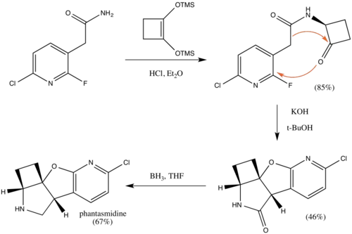 A Synthesis of phantasmidine starting at the essential step.