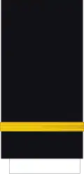 Naval cadet rank insignia