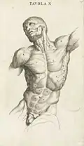 Laocoön