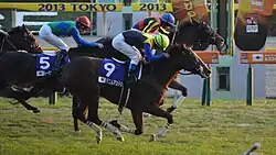Gentildonna crossing the finish line at the 2013 Japan Cup in first place, a nose ahead of the horse Denim and Ruby.