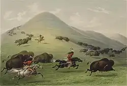 Native Americans learned to use horses, dramatically expanding their hunting range.[34] George Catlin, 1844.