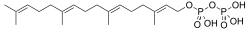 2D representation of the chemical structure of geranylgeranyl pyrophosphate .