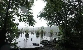 The Ghost Lake in Mazandaran - North of Iran