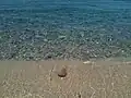 The Tyrrhenian Sea (3)