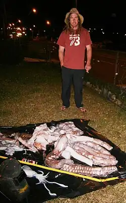 #634 (17/5/2015), Remains of a giant squid gaffed from the surface off Wollongong, New South Wales, Australia, on 17 May 2015. The specimen was collected by Ryan Field (pictured) and Ben Allaham. It is shown here alongside a "typical" squid for size comparison.