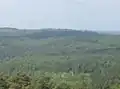 Gickel vom Hausbergturm