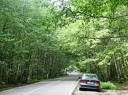 Talesh Road