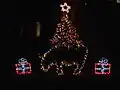 Gladys as a Christmas Tree—Night View.