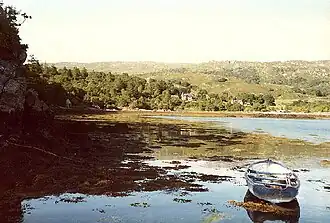 Glenborrodale Bay from the landing.