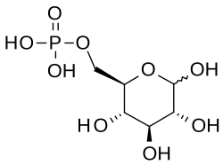 2D representation of the chemical structure of Q36461529.