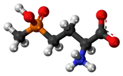 Ball-and-stick model of the glufosinate zwitterion