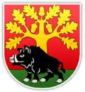 Coat of arms of Gmina Stężyca