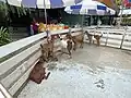Goats in the petting zoo area.