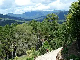 Looking south from Grandview Road, Tallai, 2013