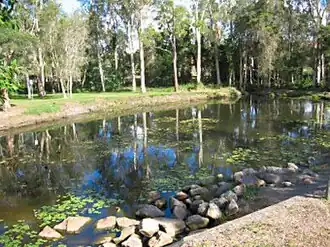 Part of the Golden Pond wetlands at Calamvale