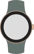 Pixel Watch 3