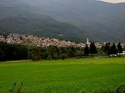 Gordona