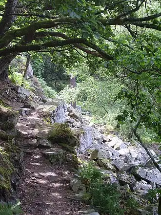 Gorges de Villiers in the Normandie-Maine Regional Natural Park