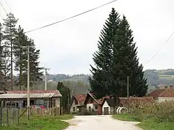 Gornji Branetići, Street
