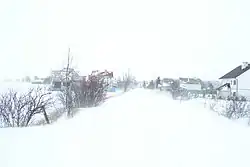 Górzec in winter