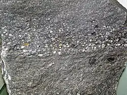 Graded bedding in the Wilhite Formation (Walden Creek Group), consistent with deposition by sediment-gravity flows.