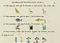 Grammaire égyptienne, chapter I, p.&nbsp;9