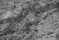 Image of the crash site