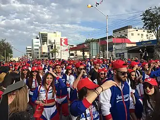 Ground view of the 2016 carnival