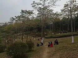 A grass slope in Guanlan Renmin Park