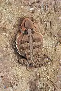 In New Mexico