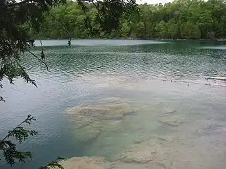 Photograph of the shore of a lake; a forested cliff is visible across the lake.