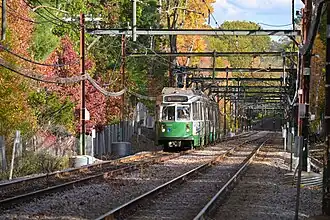 A Green light rail train running through a forest
