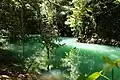 Green river at the national park