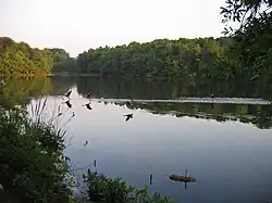 The lake and parkland of Albert S Attick Lake Park