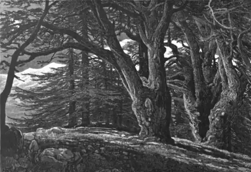 1881 engraving