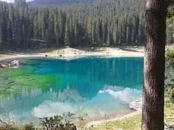 Photograph of a lake surrounded by tall trees. The water reflects partly the white clouds in the blue sky and bluish mountains around. The bottom of the lake is seen in some parts in green hues.
