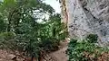 Path below the paintings