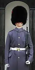 A sentry of the Coldstream Guards dressed in a greatcoat, 2011