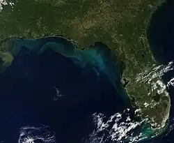 From space, oceans appear to have a very rich, deep shade of blue. This is an image taken by the MODIS instruments of the Gulf of Mexico.
