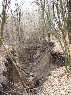 A gully in Kharkiv oblast, Ukraine.
