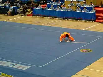 Image 25Modern forms are used in the sport of wushu, as seen in this staff routine (from Chinese martial arts)