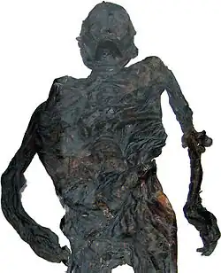 Preserved body of the Haraldskær Woman displayed at the Cultural Museum in Vejle