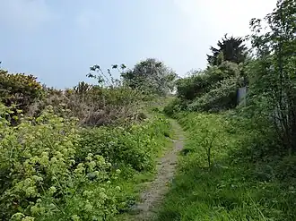 Gunton Warren
