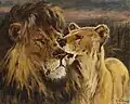 Couple of Lions (1901)