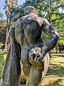 Farnese Hercules holding 3 'golden apples' or quinces.[7] Copy of 3rd century AD statue