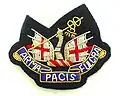 Officer's and warrant officer's beret badge