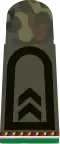 Oberfeldwebel Reserveoffizieranwärter (ROA) (Army staff sergeant, field uniform, mechanized infantry corps, reserve officer aspirant)