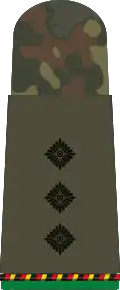 Hauptmann d.R. (Mech. infantry reserves)